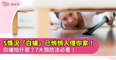 白蟻 出現 代表 什麼 風水|白蟻怕什麼？預防白蟻必看7大絕招，白蟻防治攻略全。